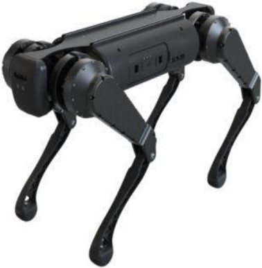 Police quadruped inspection robot